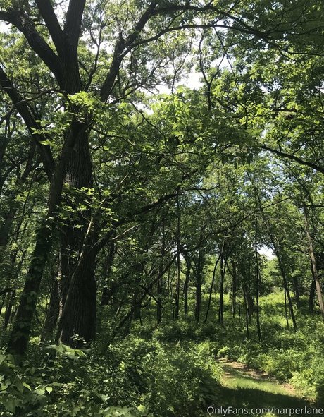 harperlane onlyfans leaks sex