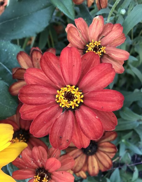 harperlane nude onlyfans leaked