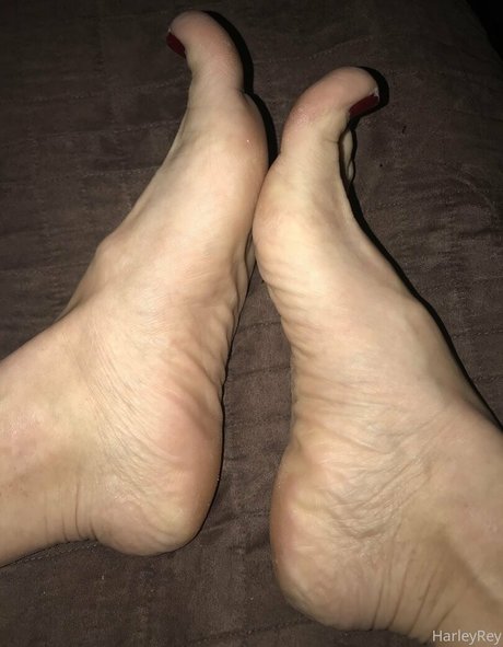 harleyrey onlyfans leaked nude