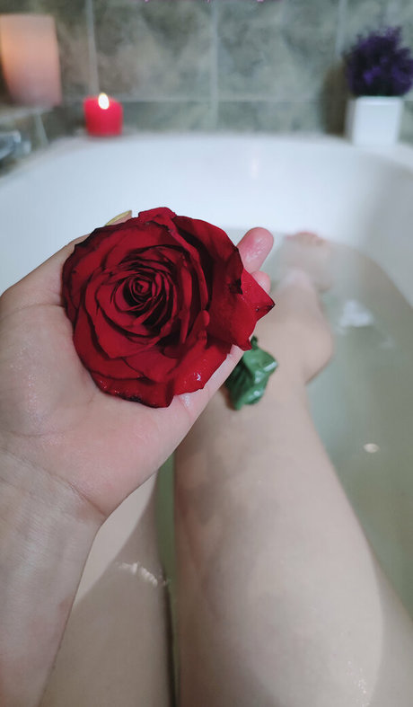 ashera cat leaked only fans nudes