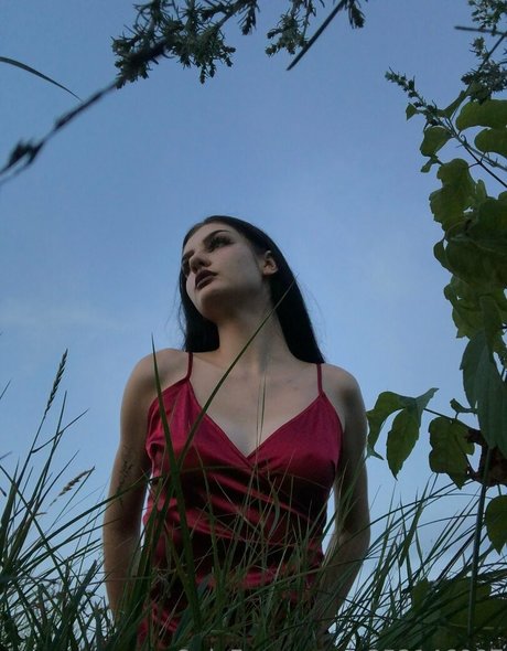 eve in wonderland onlyfans leaked sex