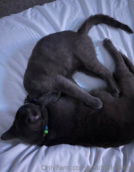 maddylovings onlyfans leaked