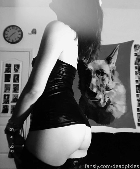 deadpixies onlyfans xxx