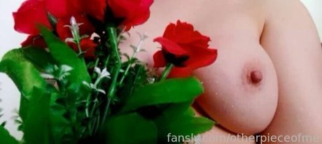 otherpieceofme onlyfans leaked sex