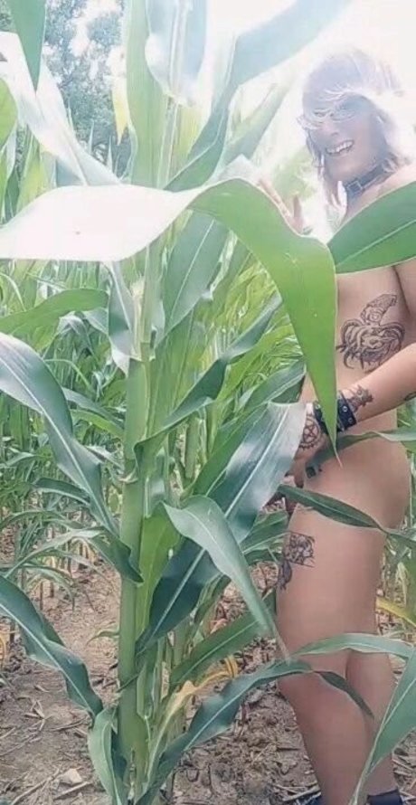 SoftBoxBoi onlyfans nude tits