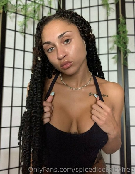 spicedicebabyfree onlyfans naked leaked
