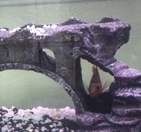 Tiffany Tyler leaked onlyfans free