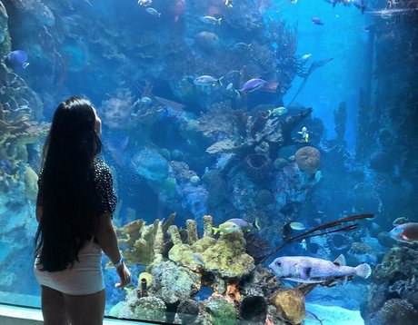 eceozbdk onlyfans naked leak