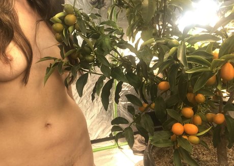 ivystar nude onlyfans leaks