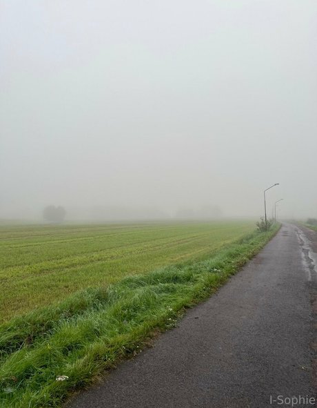 i sophie leaked onlyfans sex