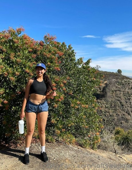 softswapme onlyfans porn leak