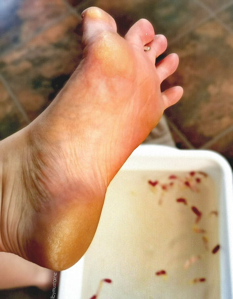 shelbymustaine leaked onlyfans sextape