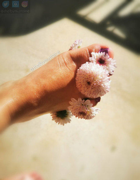 shelbymustaine Profile pic