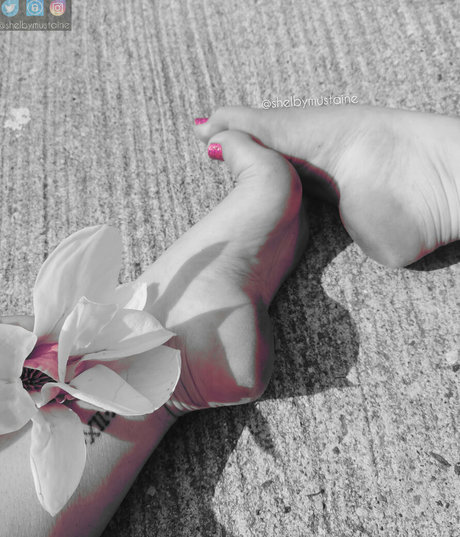 shelbymustaine onlyfans sex leak