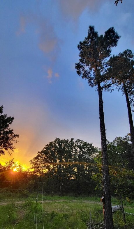 pinkplushieplants onlyfans strip