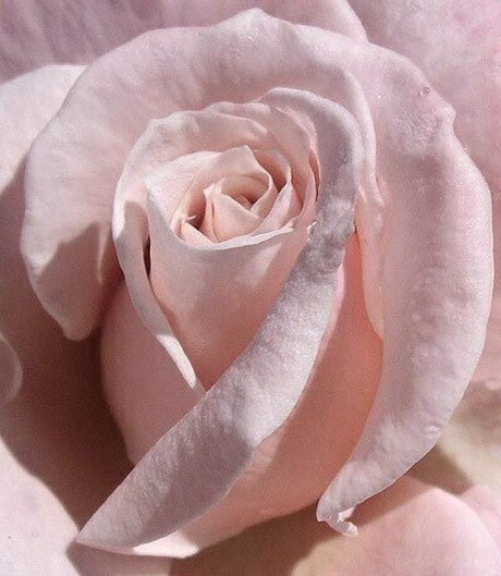 princessapril onlyfans strip tease