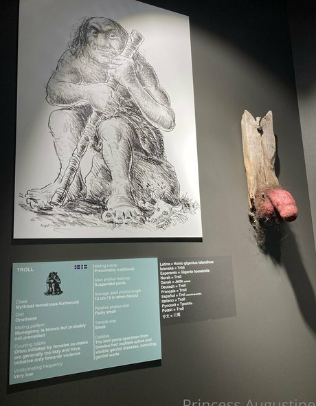 princessaugustine nudes onlyfans leak