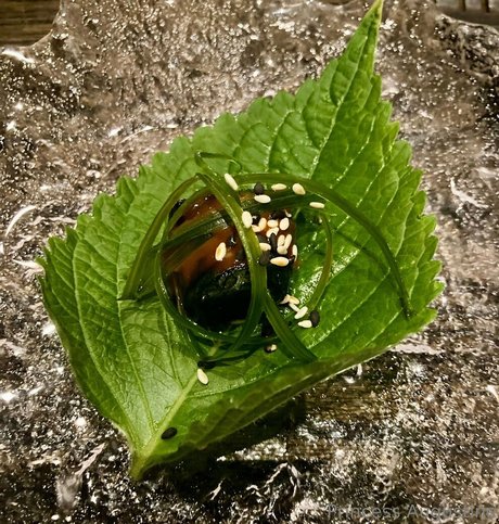 princessaugustine naked onlyfans