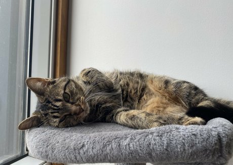 clara dee leaked porn onlyfans