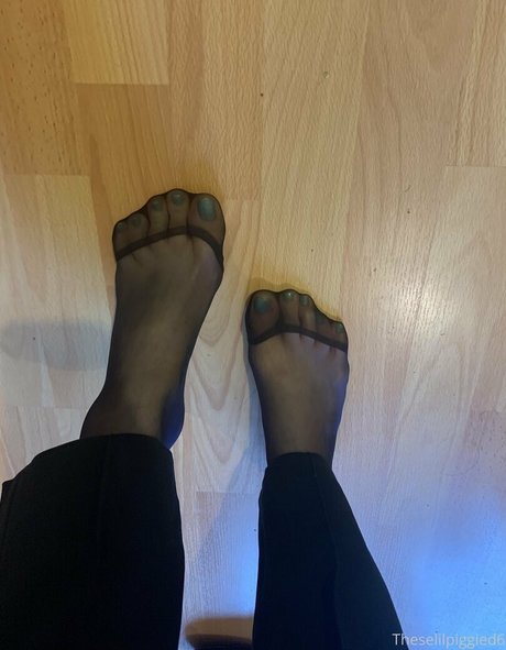 theselilpiggie6 joi onlyfans