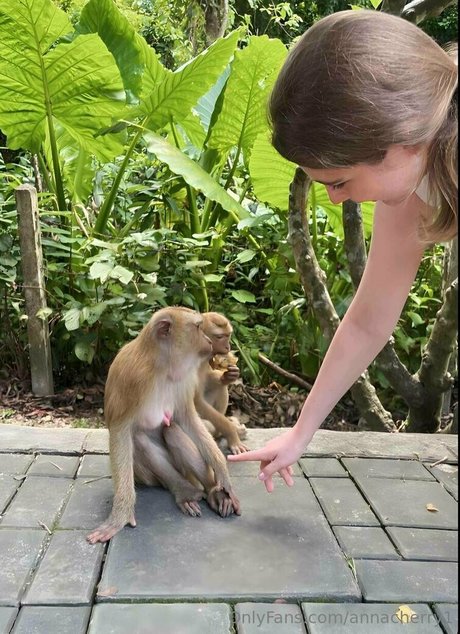 annacherry1 free only fans