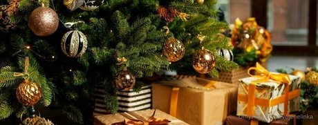 tvojenelinka onlyfans photos