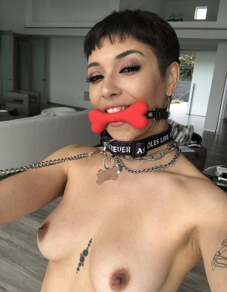 brooklyngrayxxx onlyfans pics