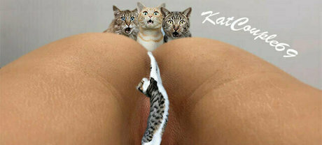 katcouple69 onlyfans leaked nude