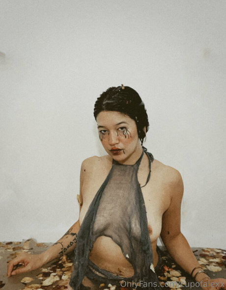 Cupofalexx Profile pic