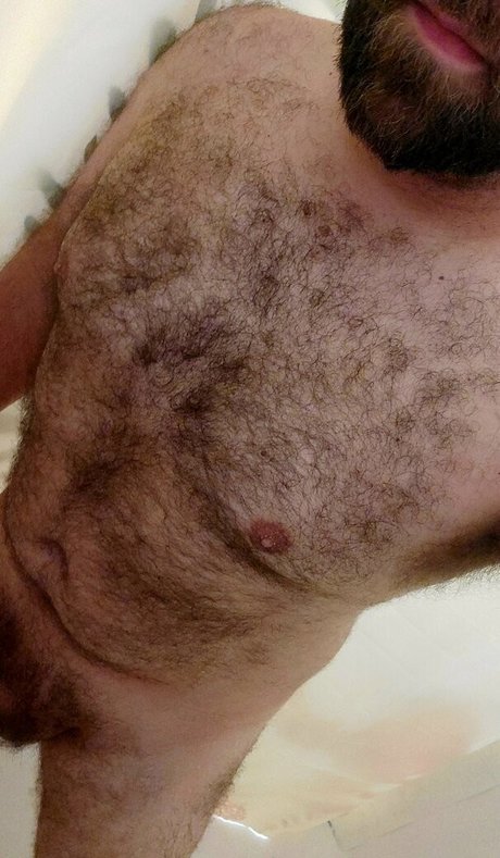 beardedgeeky Profile pic