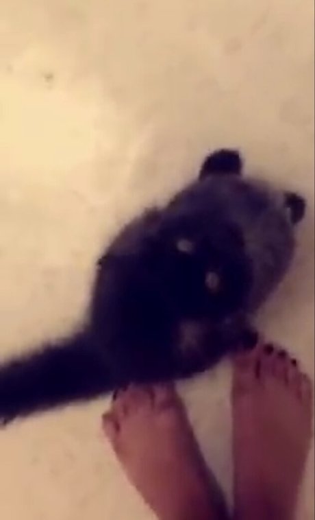 Trickywi only fans nude leaks