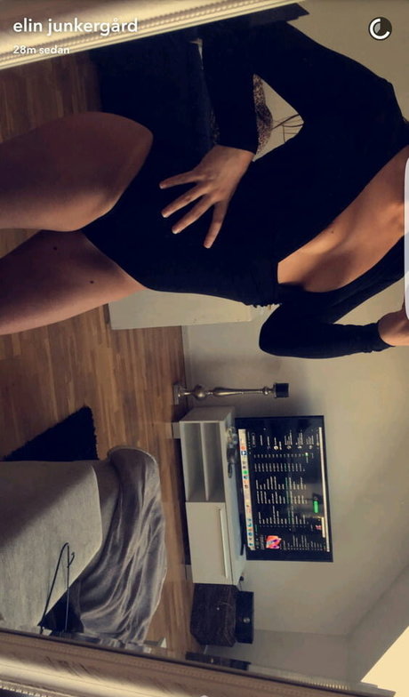 Elin Junkergard onlyfans tits