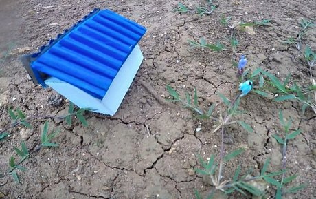 poisonmystery free only fans