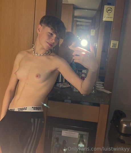 luistwinkyy naked onlyfans leaked