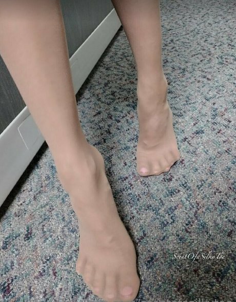 scentofasilkytoe onlyfans nudes leaked