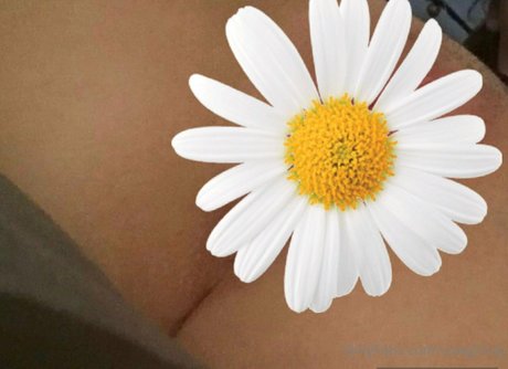 cowgirlvip onlyfans porn leaked