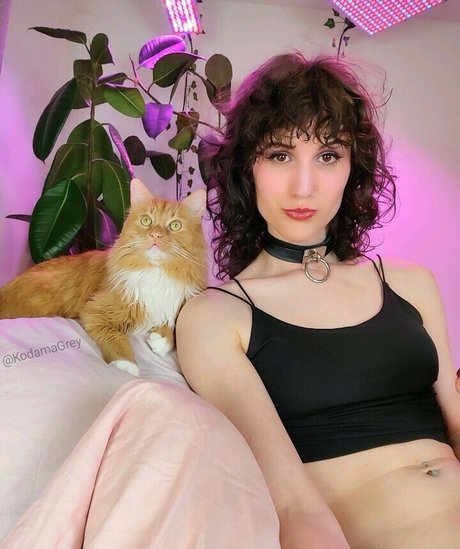 Kodama Grey new onlyfans