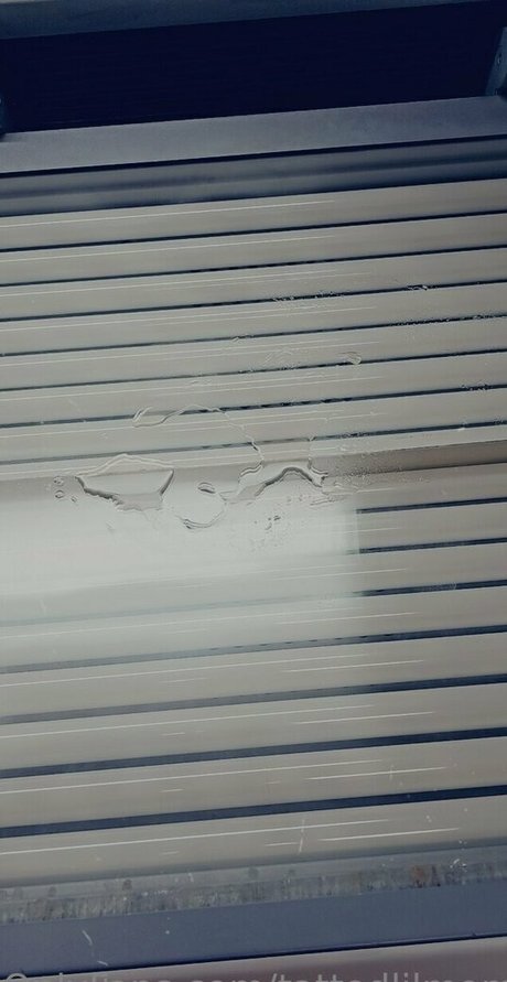 tattedlilmomma1990 onlyfans boobs