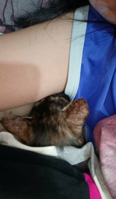 kittylunna leaked only fans