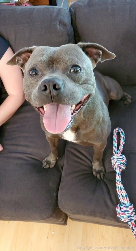 laceyroyce onlyfans leaked.