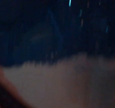 No bo dy onlyfans leaked naked