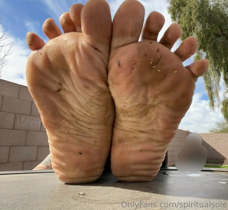 spiritualsole onlyfans porn