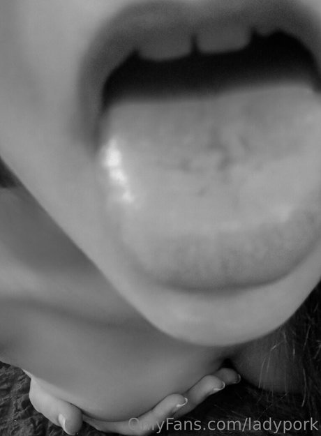 ladypork leaked nudes onlyfans