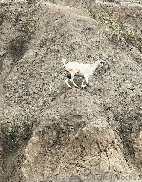 suuuuuki onlyfans leaked nudes