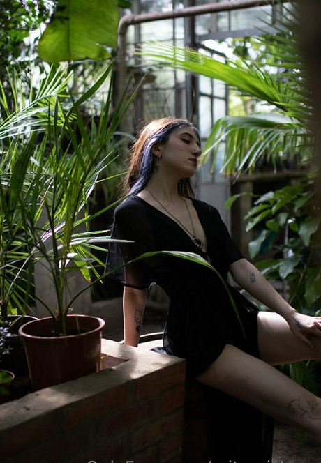 baby and dollyy onlyfans leaks free