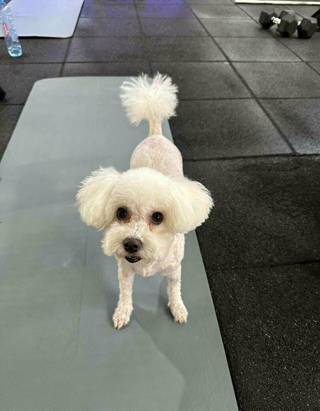 bianoir porn leaked onlyfans