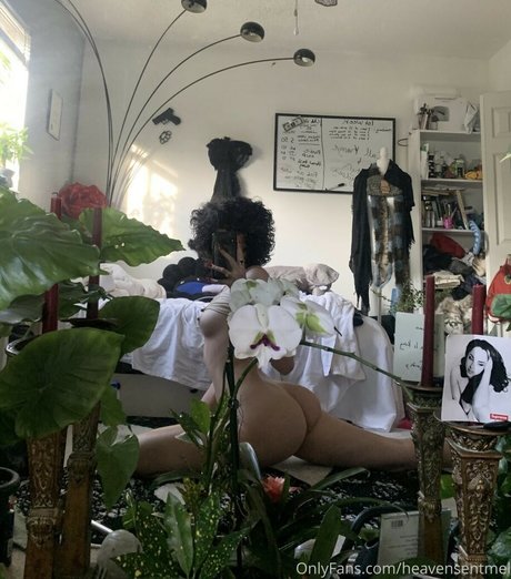 Heavensentmel nude onlyfans pics