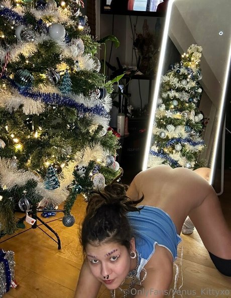 venus kittyxo onlyfans creator