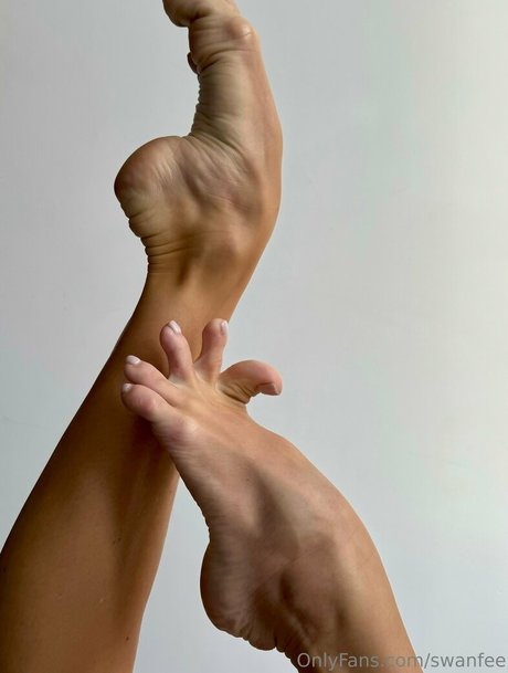 swanfee onlyfans nude leak