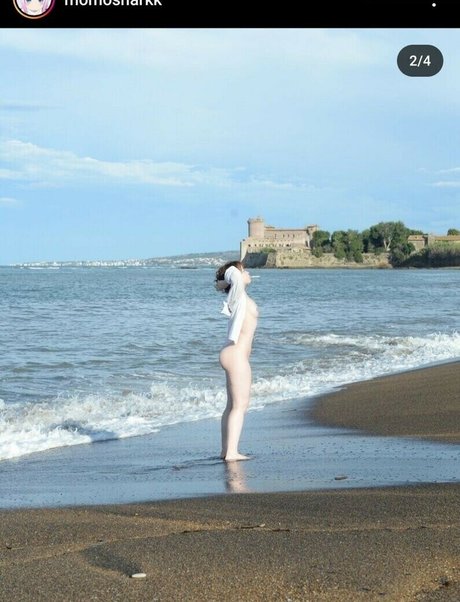 Momosharkk nudes onlyfans leak